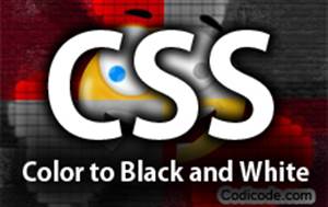 Convert Black And White Photo To Color