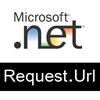 Request.Url fragments : Uri Paths, Parameters & details